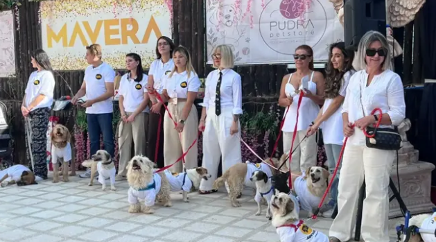Podyumdan yeni yuvalarına uzanan yolculuk