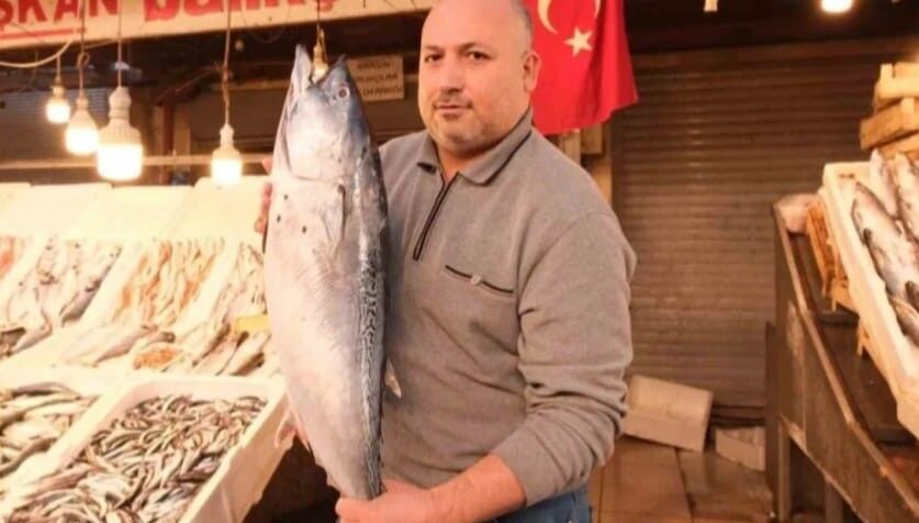 Adnan Polat-1