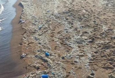 Akdeniz Sahillerinde Kirlilik Alarmı