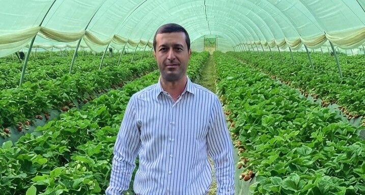 Anamur'da çilek sezonu öncesi kritik uyarı