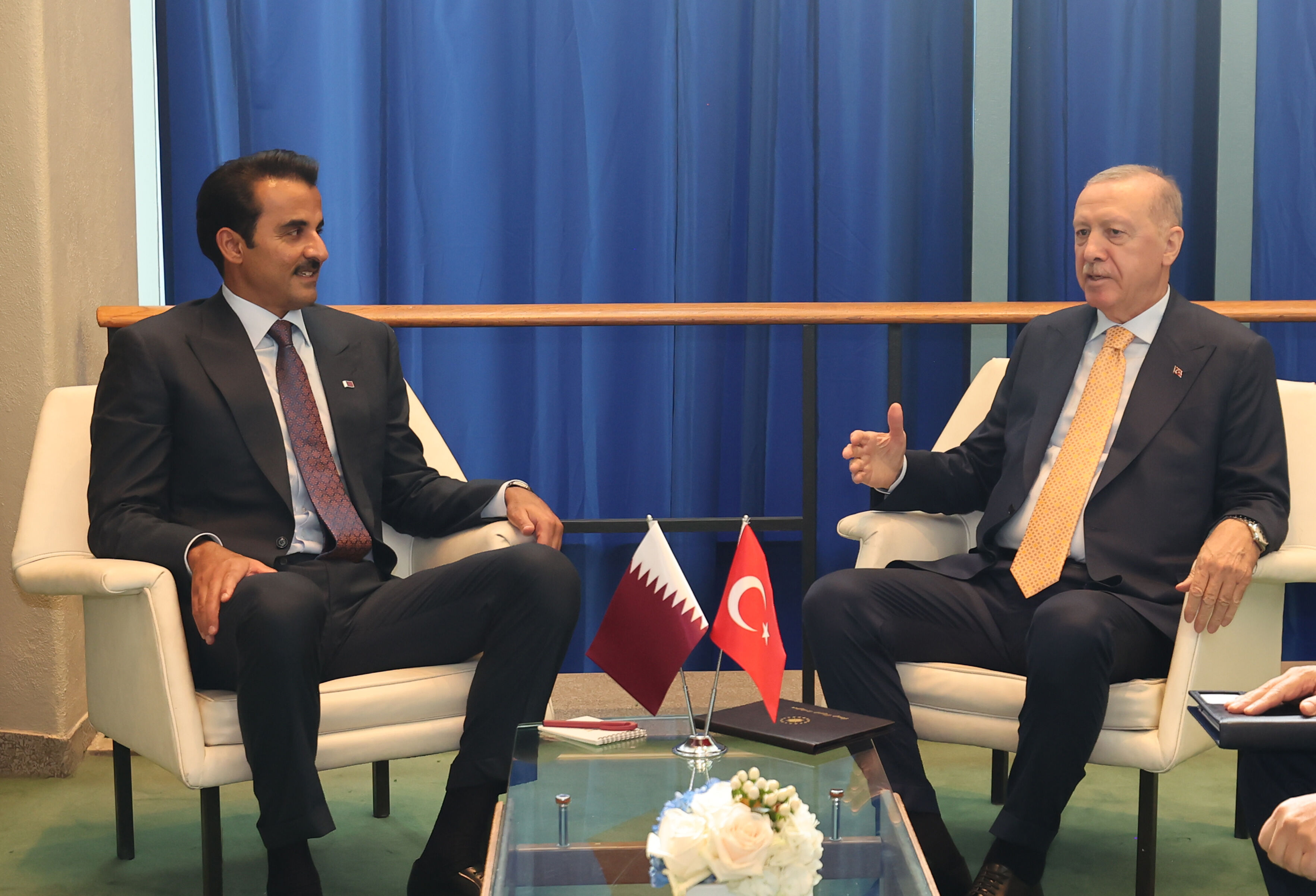 Cumhurbaşkanı Erdoğan ve Al Sani'den enerji gündemi