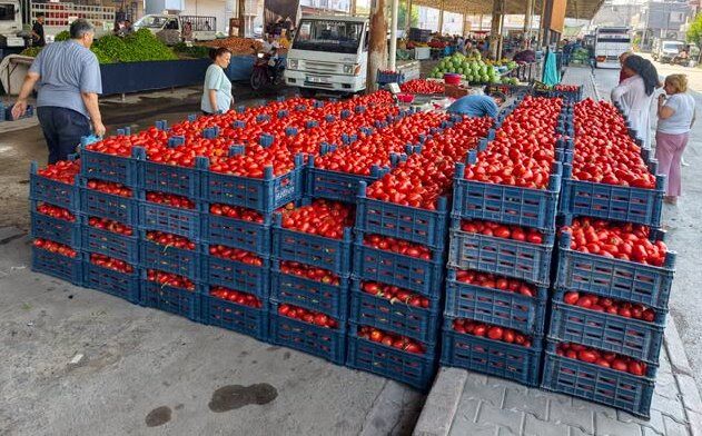İstanbul’da Fiyatlar Düşüyor Mersin’de Üreticinin Canı Yanıyor (4)