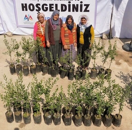 Mersinbüyükşehirfidan (1)