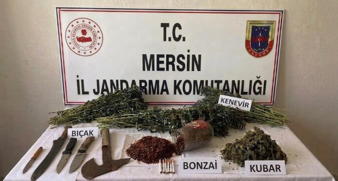 Mersin'de Jandarmadan yasaklı madde operasyonu