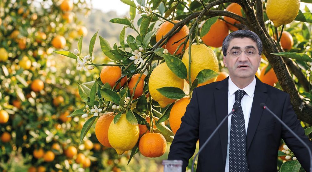 “Mersinli üreticimizin emeği heba olmamalı”