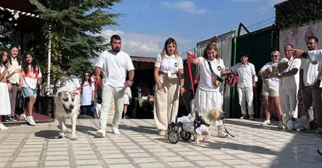 Patikapark Hayvansever Derneği