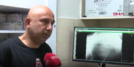Şila Köpek