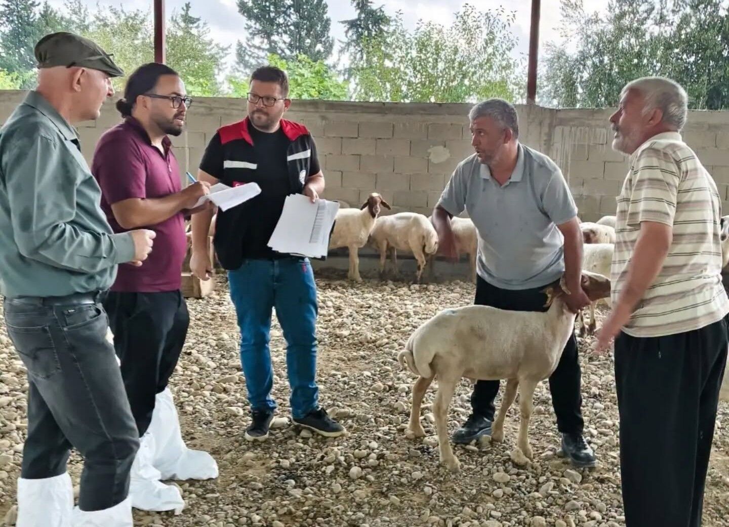 Tarım2