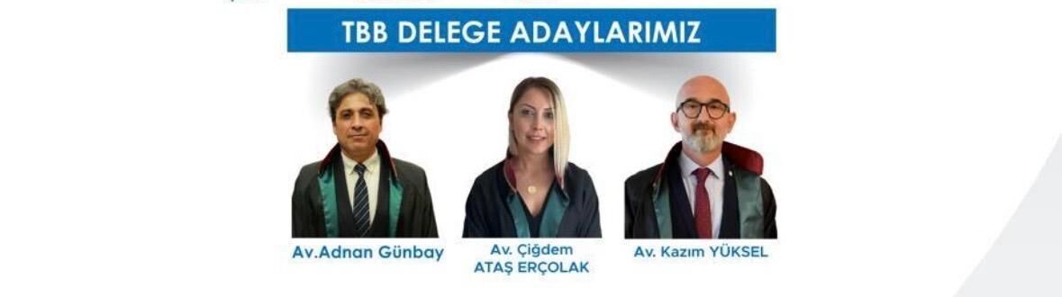 Tbb Delege