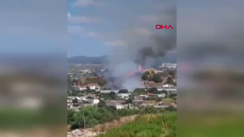 Videoframe (1)-1