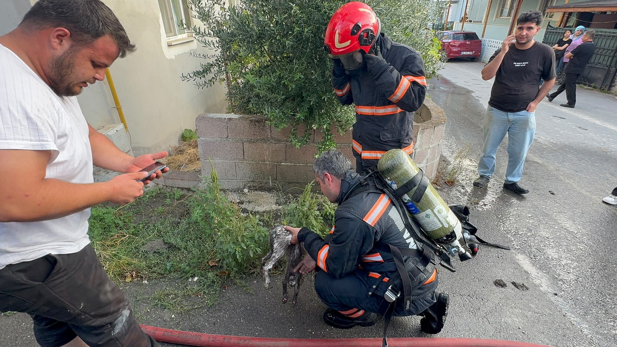 Ev yangınında kedi için zamanla yarıştılar