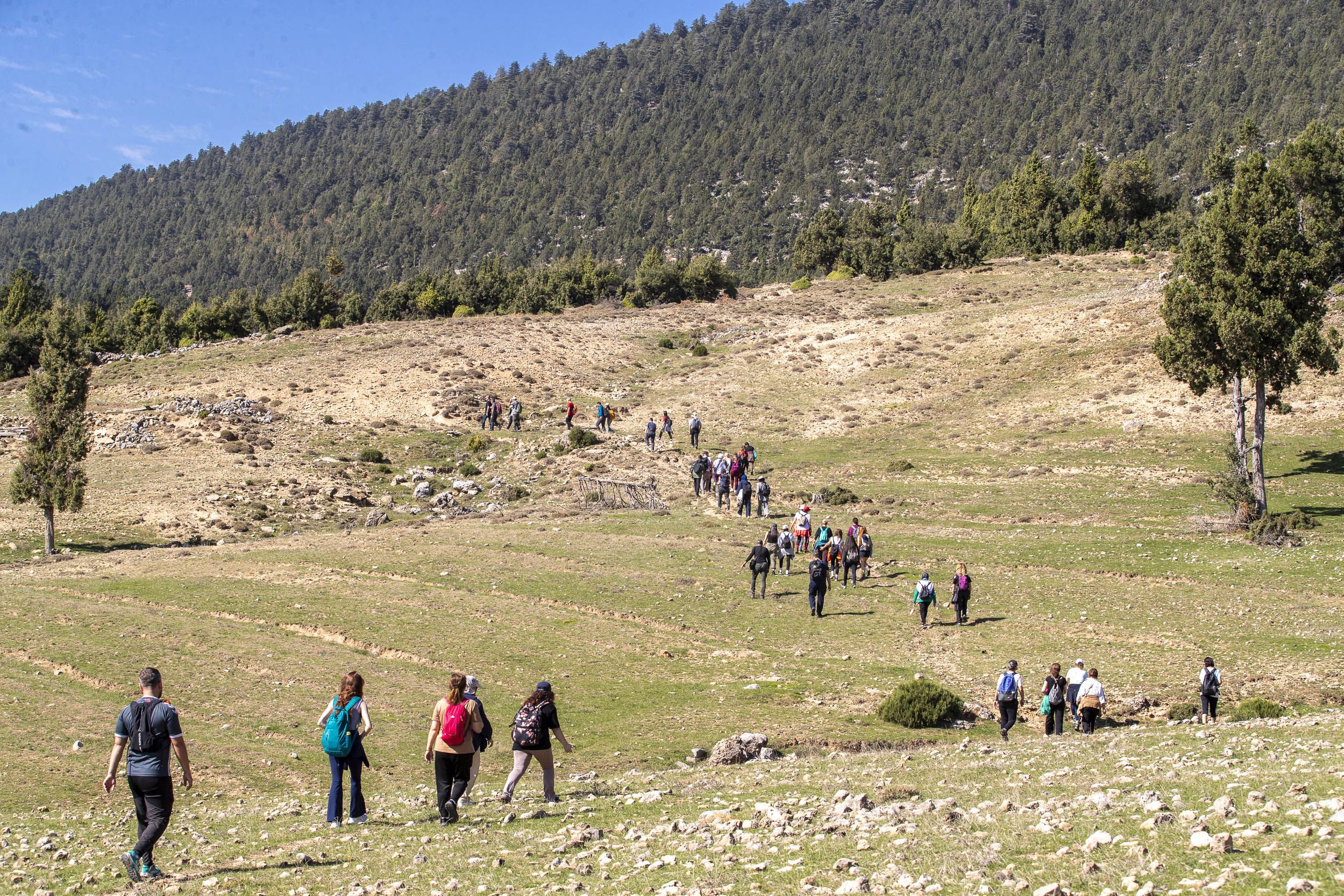 Büyükşehi̇r’i̇n Ki̇li̇kya Yolu’nda Adimlar Si̇nap Kalesi̇’ne Uzandi (3)