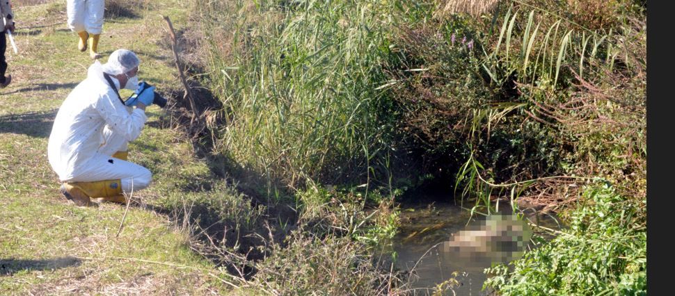Kahramanmaraş’ta sulama kanalında ceset
