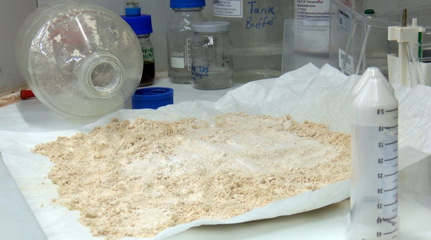 Findik Fosasi Protein Olacak