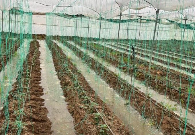 Seralar Su Altında Kaldı