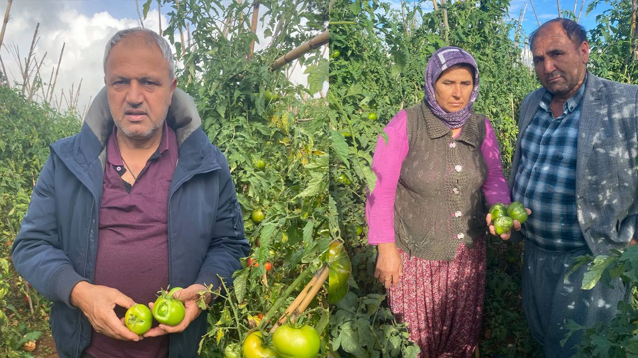 Silifke Ziraat Odası Başkanlığ 1