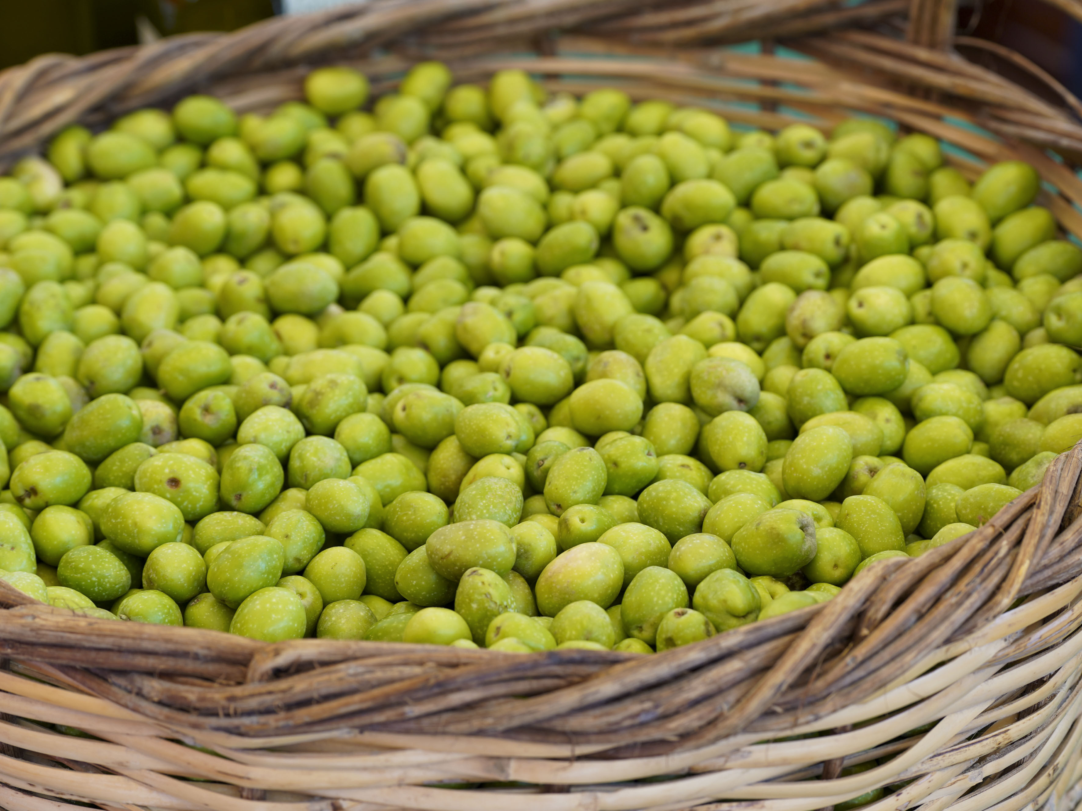 Tarsus Sarıulak Zeytin Festivali 23 Ekim’de başlıyor