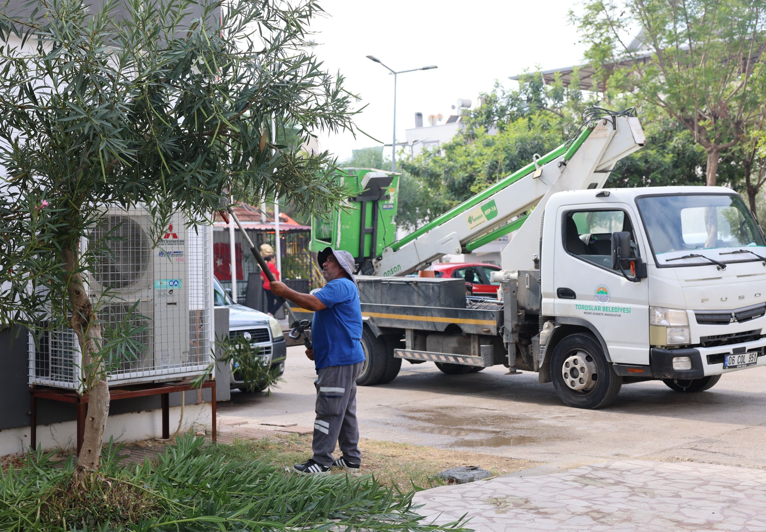 Toroslarda Budama Bakım Çalışmaları